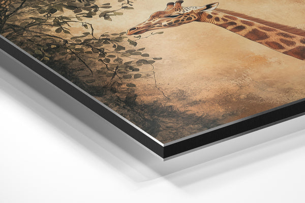 Gentle Giraffe Feast