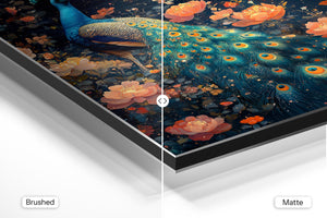 Starlit Peacock Glory