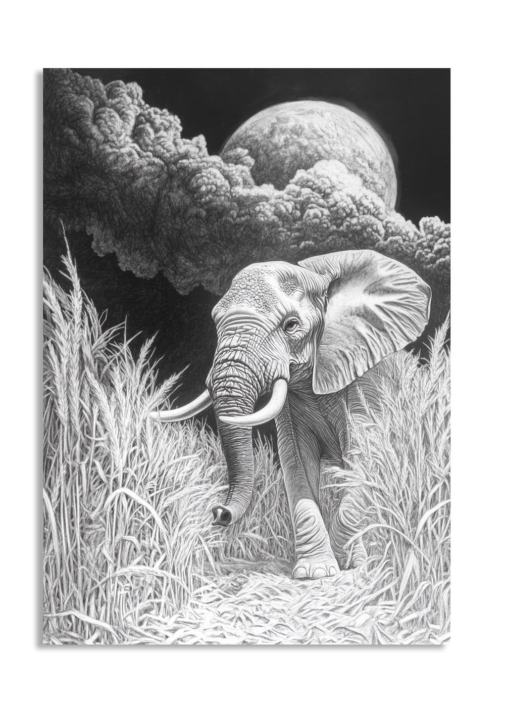 Black and white illustration of an elephant in a grassy field with a large moon in the sky, as a premium aluminum metal print from GoMetalPrint.
