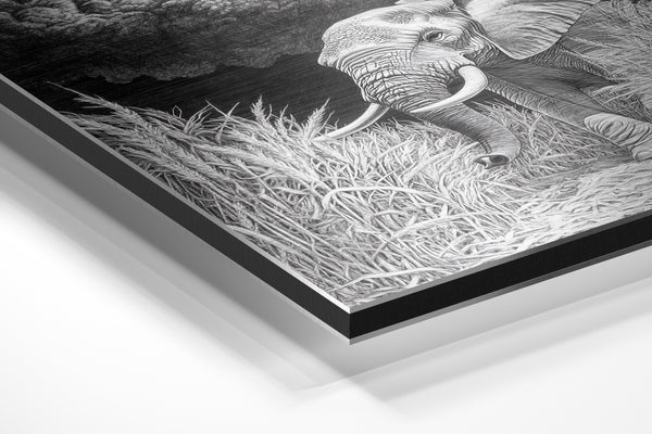 Lunar Elephant Wanderer