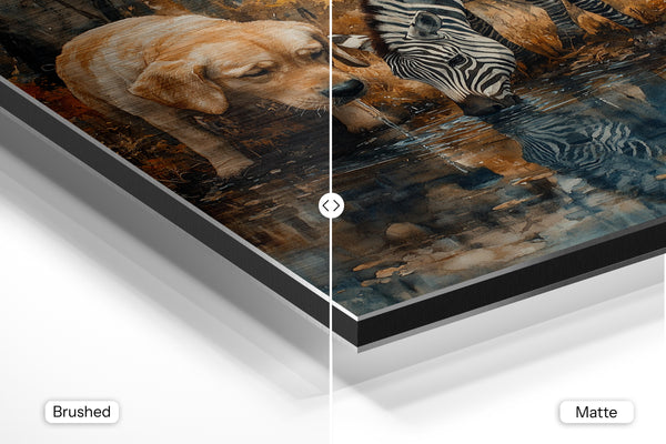 Dog & Zebra Friendship