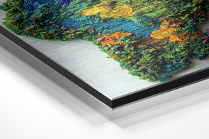 Amazon Biodiversity Map