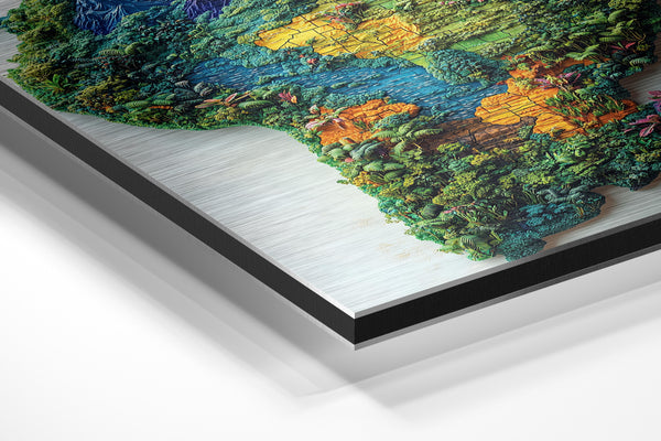 Amazon Biodiversity Map