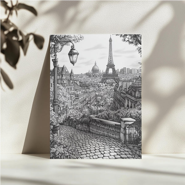 Parisian Monochrome Scenery