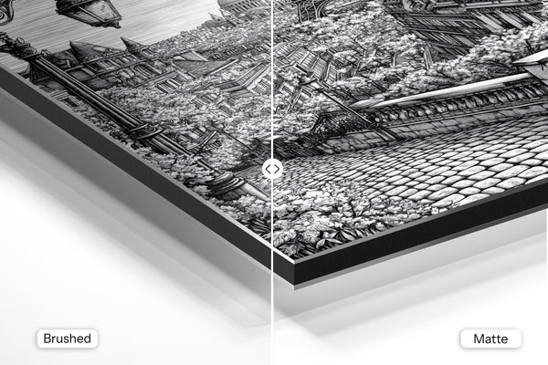 Parisian Monochrome Scenery