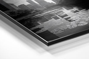 Chicago Water Lilies