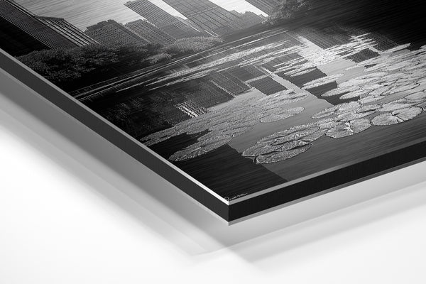 Chicago Water Lilies