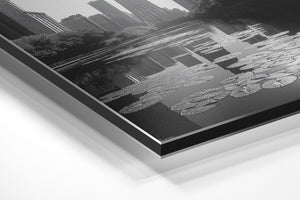 Chicago Water Lilies