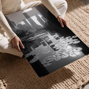 Chicago Water Lilies