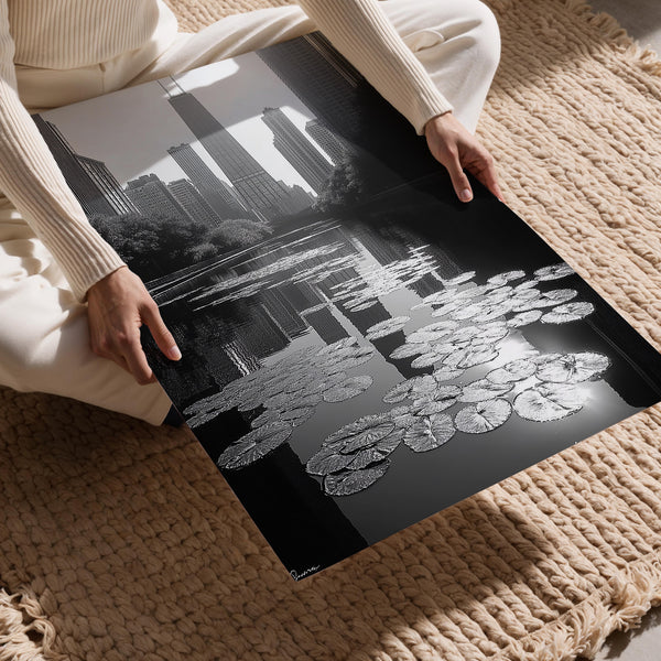 Chicago Water Lilies