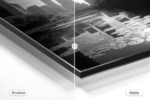 Chicago Water Lilies