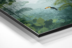 Tropical Forest Vista