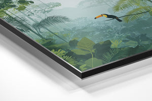 Tropical Forest Vista