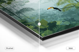 Tropical Forest Vista