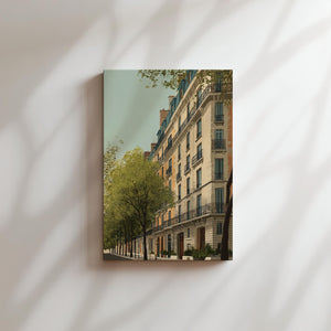 Boulevard Morning Light