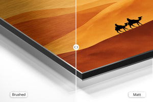 Sunset Caravan Dunes