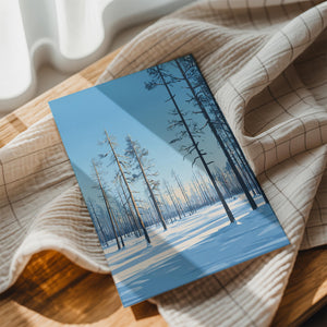 Snowy Forest & Sunlight