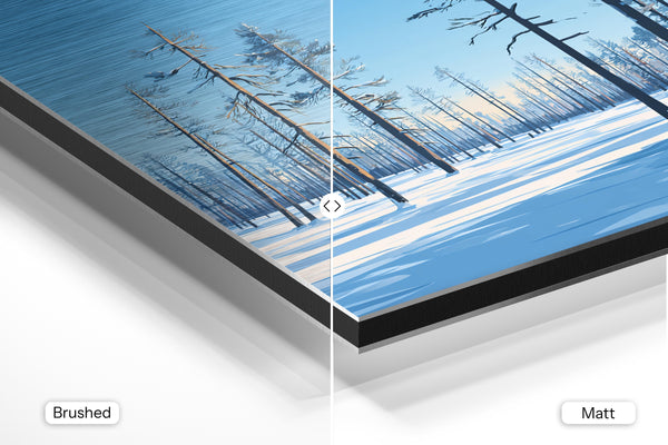 Snowy Forest & Sunlight