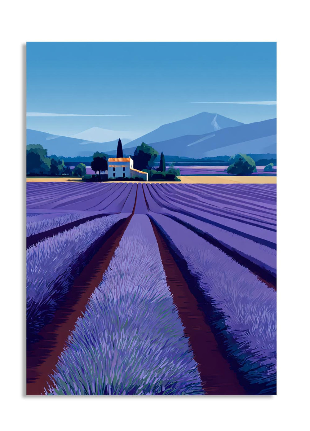 Lavender field with a house and mountains in the background, as a premium aluminum metal print from GoMetalPrint.

