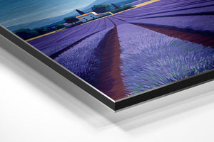 Lavender Field & Farmhouse