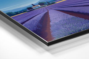 Lavender Field & Farmhouse