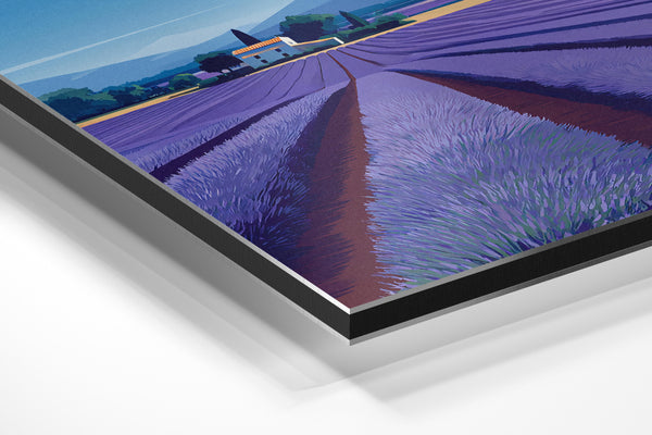 Lavender Field & Farmhouse