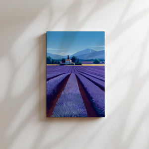 Lavender Field & Farmhouse