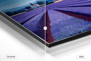 Lavender Field & Farmhouse