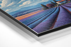 Lavender Provence Landscape