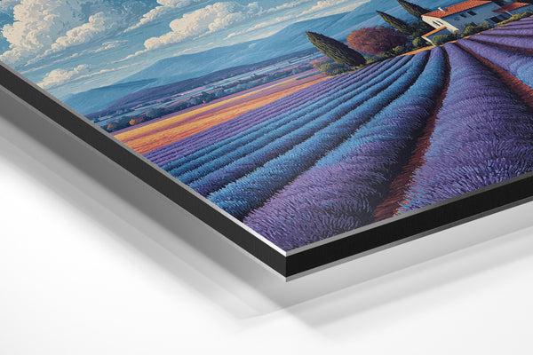 Lavender Provence Landscape