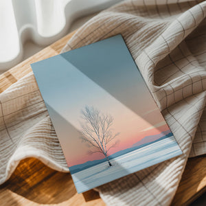 Solitary Winter Birch