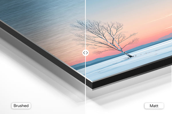 Solitary Winter Birch