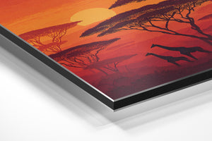 Sunset Giraffes Savanna