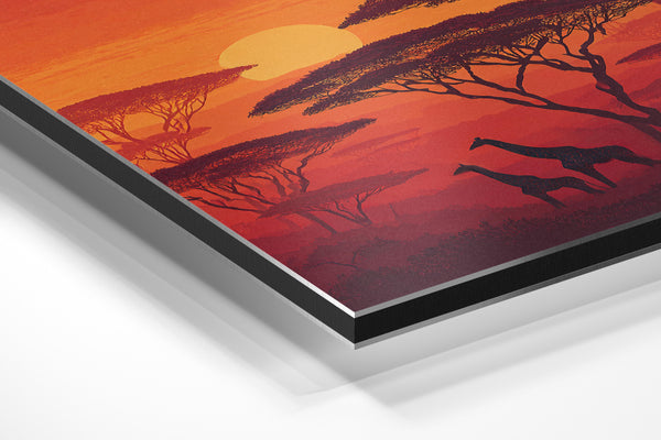 Sunset Giraffes Savanna