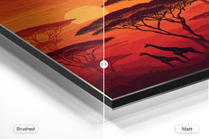 Sunset Giraffes Savanna