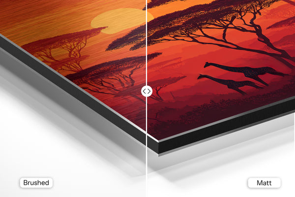 Sunset Giraffes Savanna