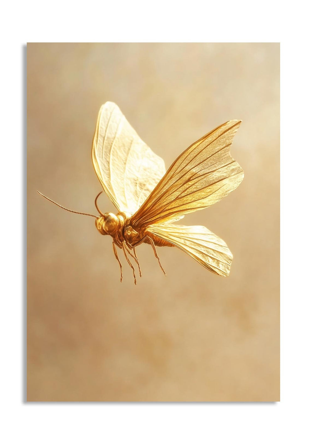 Gold moth-shaped light fixture on a beige background, as a premium aluminum metal print from GoMetalPrint.
