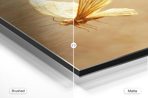 Butterfly Golden Glow