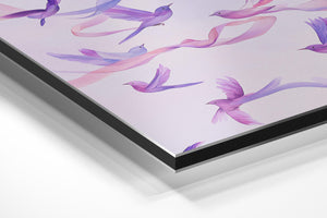 Lavender Dove Flight