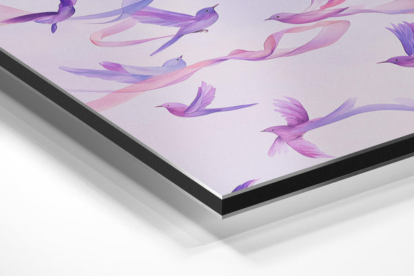 Lavender Dove Flight