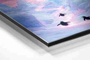 Penguins on Icy Path