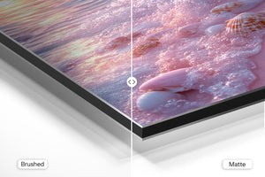 Seashell Pink Sunset