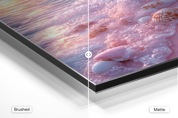 Seashell Pink Sunset