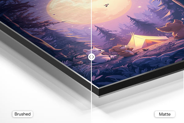 Forest Camping Moonlit