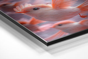 Coral Birds in Flight