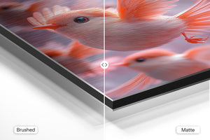 Coral Birds in Flight