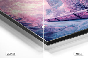 Snow Train & Polar Bear