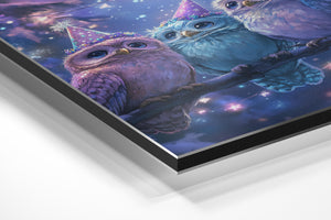 Owl Celebration Night