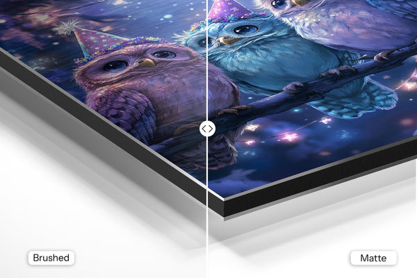 Owl Celebration Night