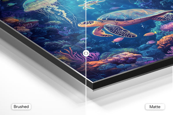 Jellyfish and Turtle